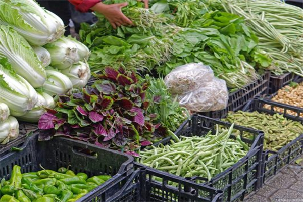 重慶蔬菜配送——從(cóng)田間(jiān)到(dào)廚房(fáng)的(de)蔬菜綠(lǜ)色之旅